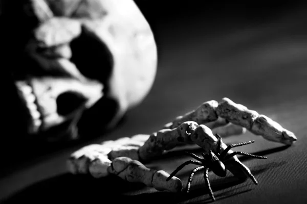 Crâne et os de la main — Photo