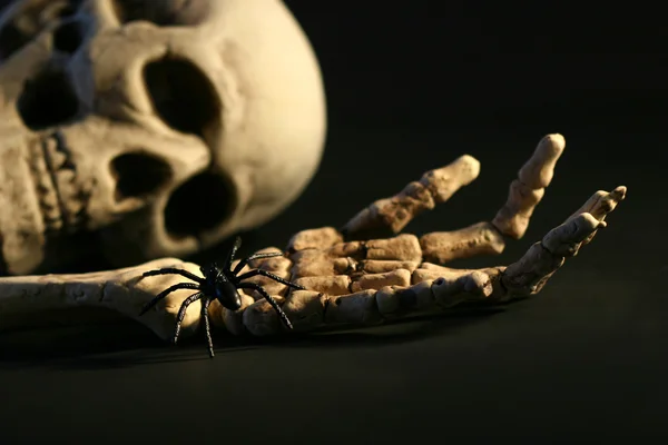 Skrämmande skelett — Stockfoto