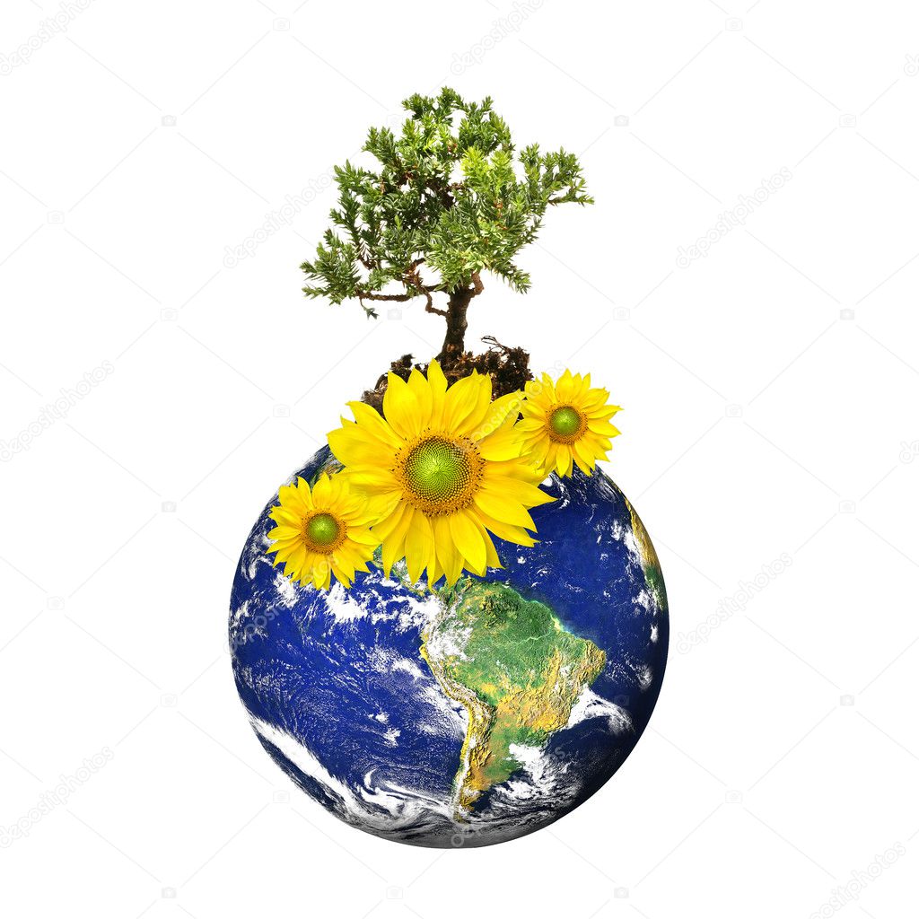 Earth with a tree and flowers isolated over a white background