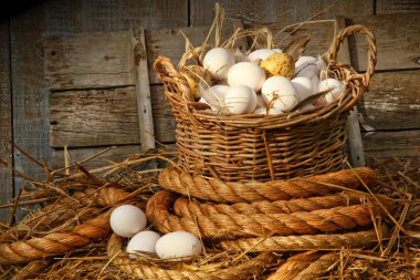 Basket of eggs on straw clipart