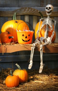 Colorful pumpkins and skeleton on bench clipart