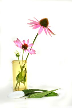 Echinacea coneflower in precription container clipart