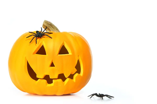 Geschnitzter Halloween-Kürbis mit Spinnen — Stockfoto