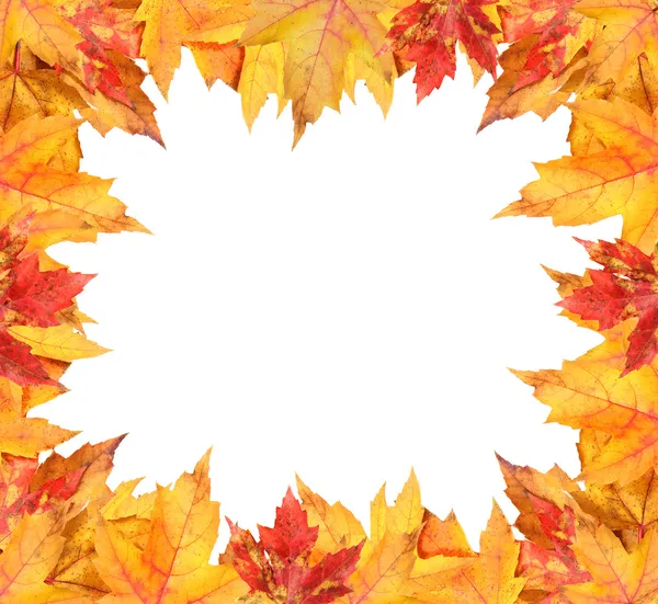 Цветные осенние листья рамка на белом — стоковое фото