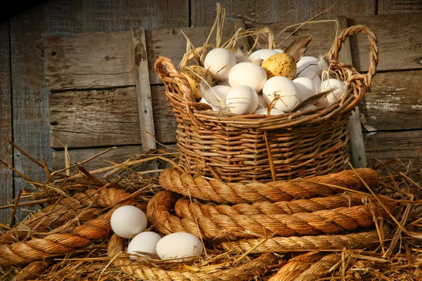 Korg med ägg på halm — Stockfoto