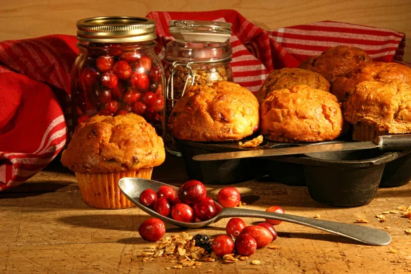 Vynikající brusinky muffins — Stock fotografie