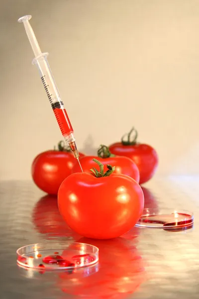 在番茄注射器的特写 — 图库照片