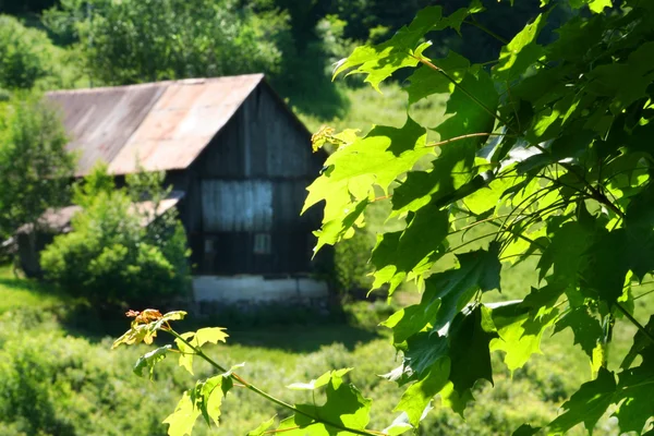 Ancienne grange sur la colline — Photo