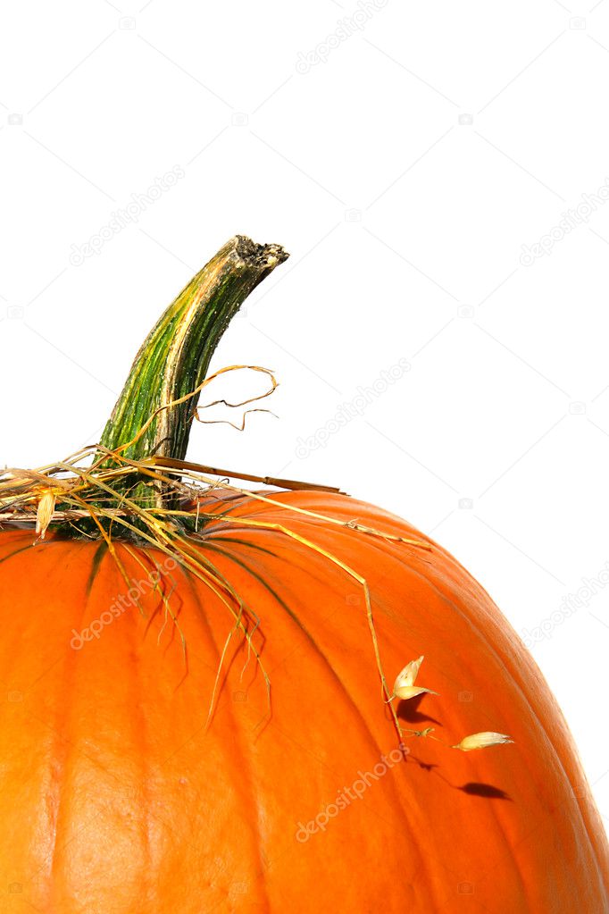 Closup of pumpkin with bits of straw