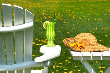 Adirondack chair on the grass clipart