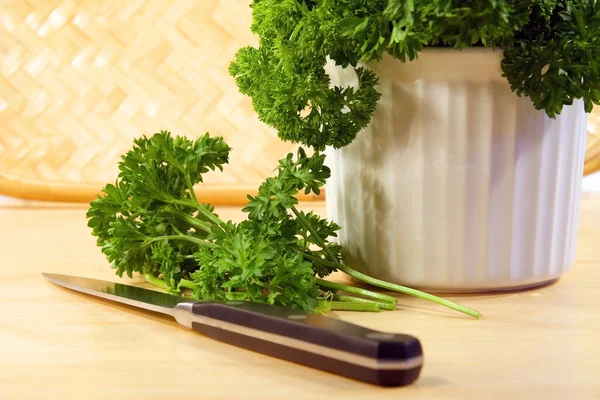 Chopping parsley and peppers — Stock Photo, Image
