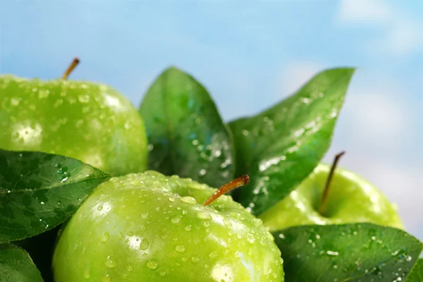 Manzanas verdes contra un cielo azul soleado — Foto de Stock