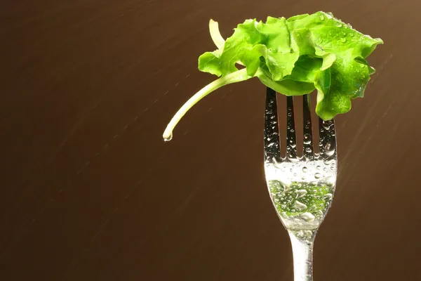 Leaf of lettuce on a fork — Stock Photo, Image