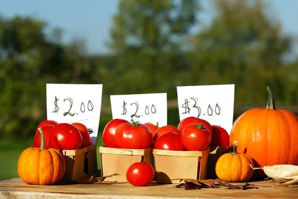 Tomates à vendre — Photo