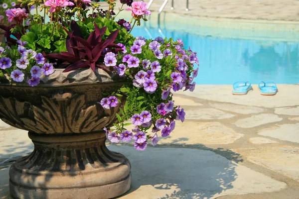 Sandalen am Pool mit großer Urne voller Blumen — Stockfoto