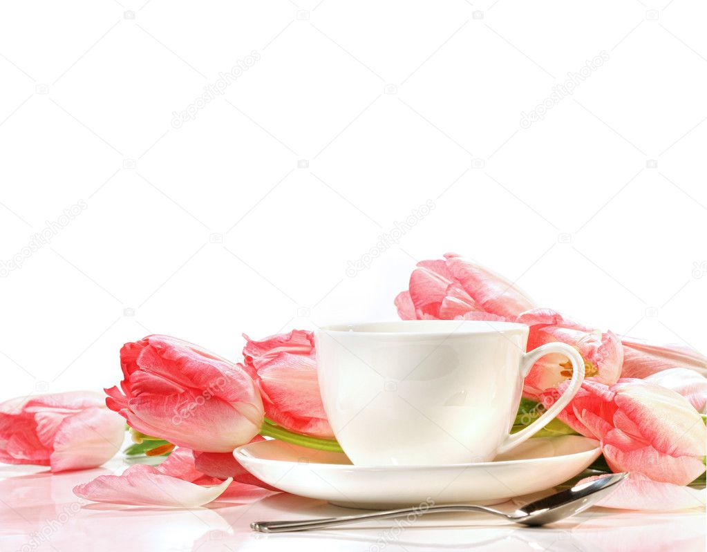 Tea cup with pink tulips on white