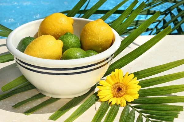Citrons et citrons verts dans un bol — Photo