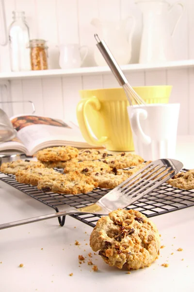 Vers gebakken oatmeal rozijnen cookies — Stockfoto