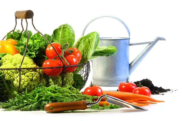 Świeże warzywa z konewka — Zdjęcie stockowe
