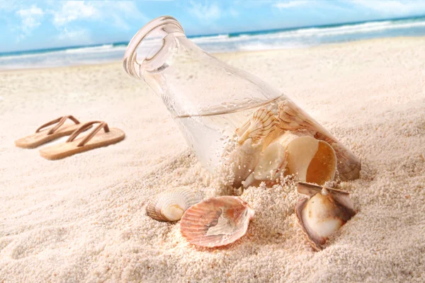 Ракушки в бутылке на пляже — стоковое фото