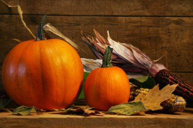 Two pumpkins on the shelf clipart