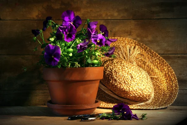古い麦藁帽子と紫色のパンジー — ストック写真