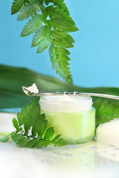 Rejuvenating face cream with green ferns — Stock Photo, Image