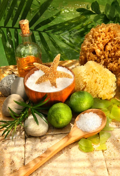 Sea salt, sponges, limes and spa essentials — Stock Photo, Image
