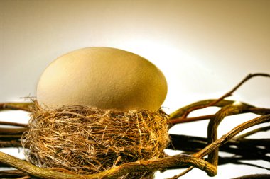 Big golden egg in bird's nest clipart