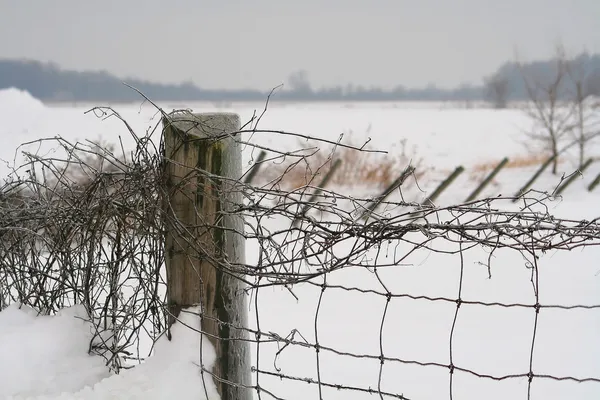 stock image Snow fence