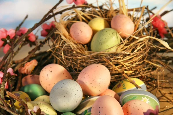 Huevos de Pascua y flores de manzana —  Fotos de Stock