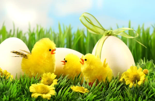 Kleine gelbe Osterküken im hohen Gras — Stockfoto