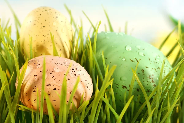 Três ovos coloridos — Fotografia de Stock