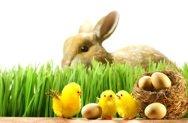 Three little chicks in the grass — Stock Photo, Image