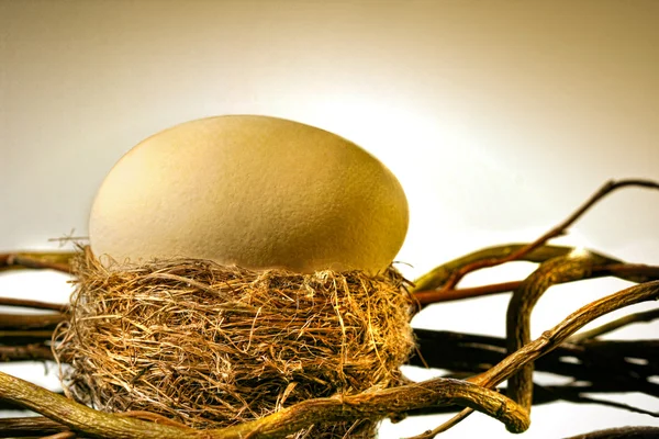 Grande ovo dourado no ninho de pássaros — Fotografia de Stock