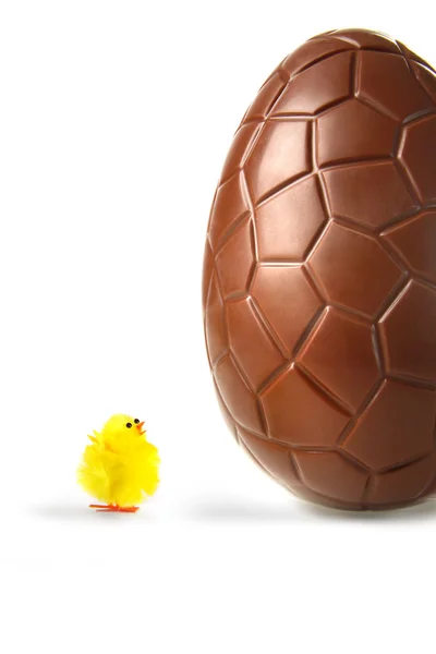Little easter chick looking up at chocolate egg — Stock Photo, Image