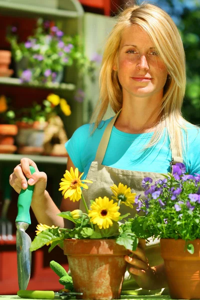 Femme attrayante faisant des travaux de jardin — Photo