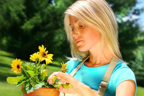 Aantrekkelijke vrouw snoeien bloemen — Stockfoto