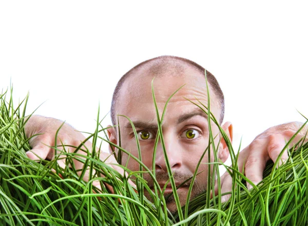 Человек, заглядывающий сквозь высокую траву — стоковое фото