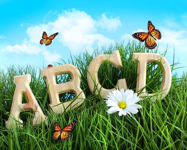 Письма ABC с маргариткой в траве — стоковое фото