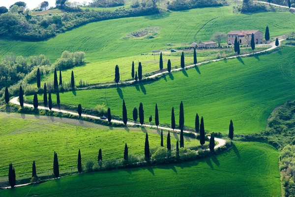 Vackra Toscana bilder Royaltyfria Stockfoton