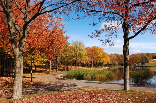 Beautiful fall park few. — Stock Photo, Image