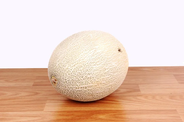 Ein großer Cantaloupe. — Stockfoto