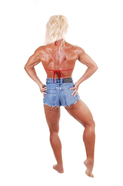 Kadın vücut geliştirme. — Stok fotoğraf