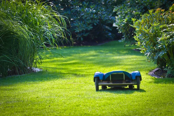 로봇을 이용한 잔디 도우미 로열티 프리 스톡 사진