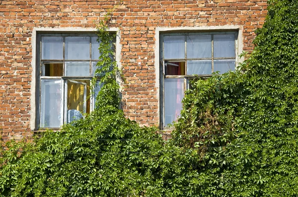 Windows in old brick wall. — Stock Photo, Image