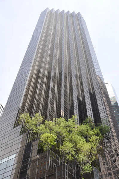 New York Cinquième Avenue gratte-ciel — Photo