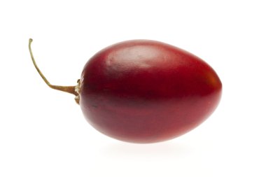 Tamarillo