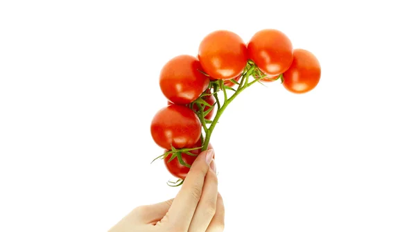 Tomates jugosos en mano aislados en blanco — Foto de Stock