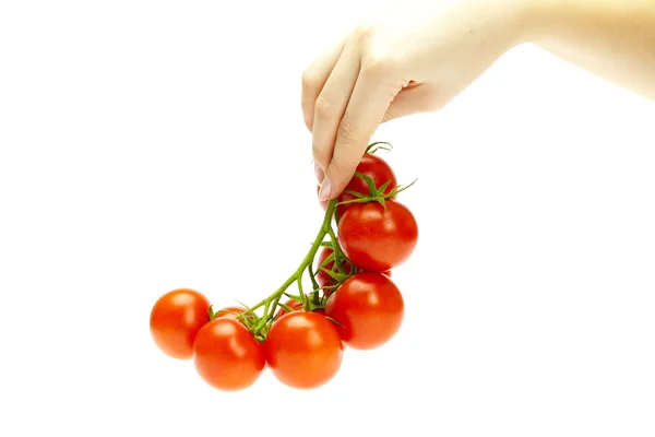 Sappige tomaten in hand geïsoleerd op wit — Stockfoto